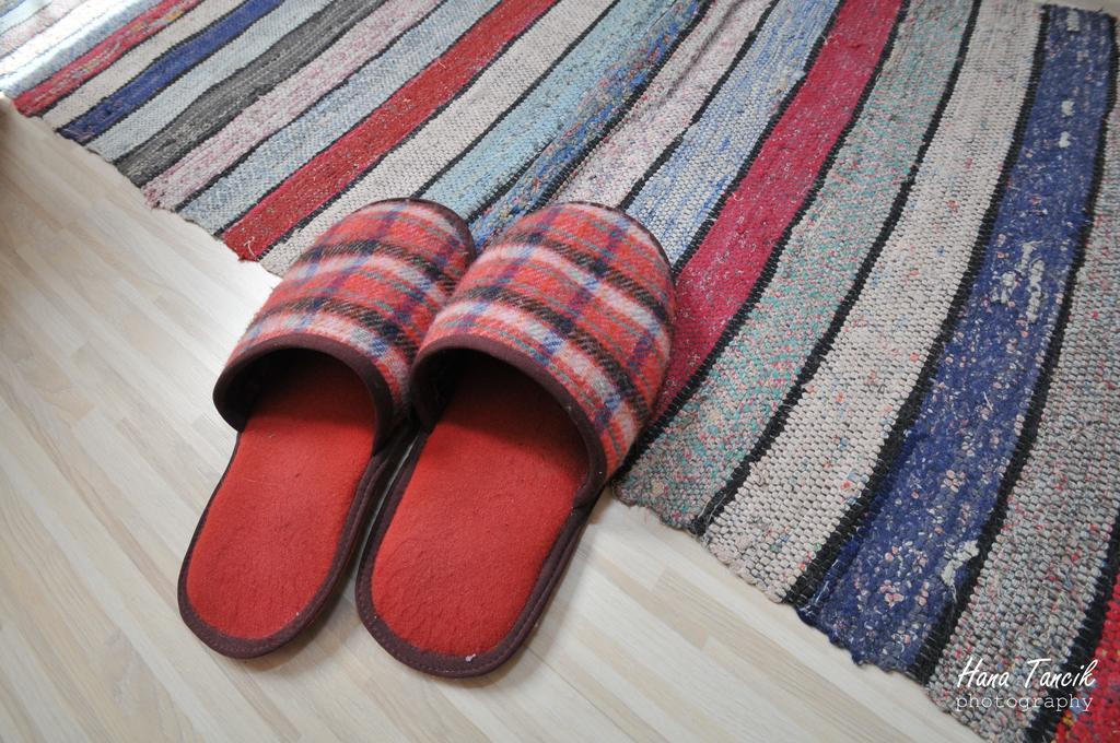Apartments Svetlica باتشكي بيتروفاتس المظهر الخارجي الصورة