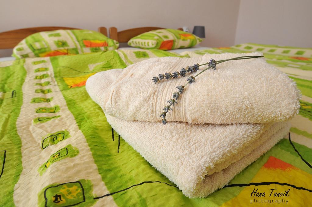 Apartments Svetlica باتشكي بيتروفاتس المظهر الخارجي الصورة