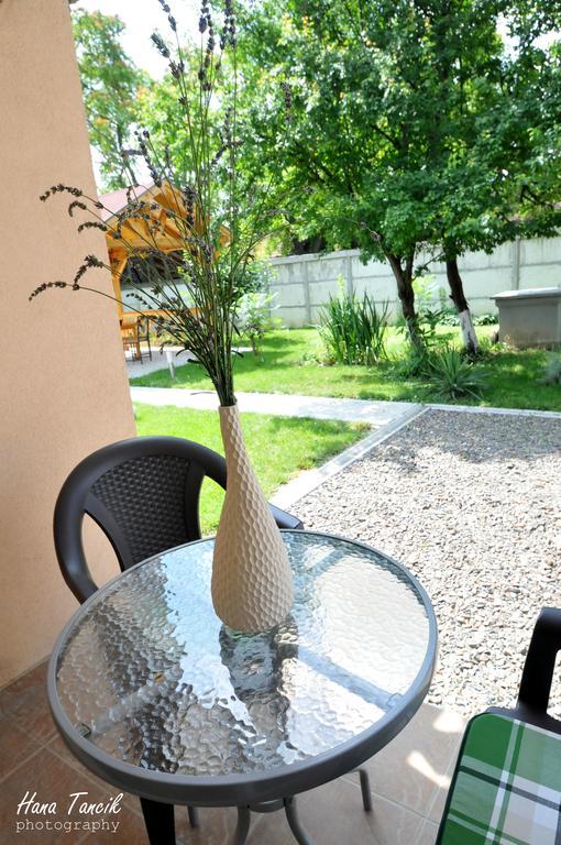 Apartments Svetlica باتشكي بيتروفاتس المظهر الخارجي الصورة